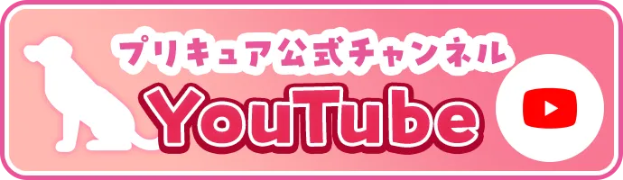 フッター プリキュア公式チャンネル Youtube